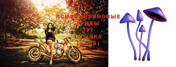 каннабис Алексеевка