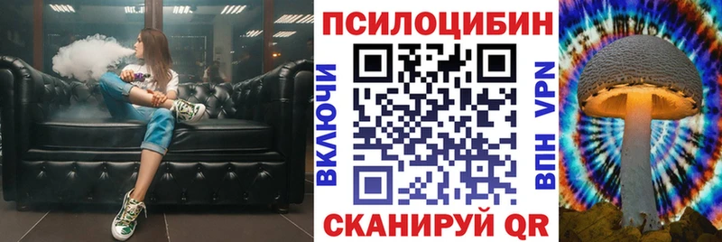 купить наркоту  Снежногорск  Галлюциногенные грибы мицелий 