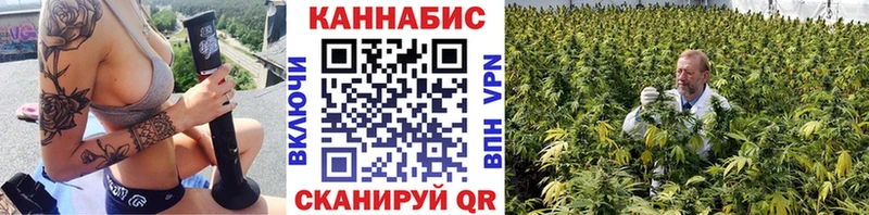Шишки марихуана семена Снежногорск